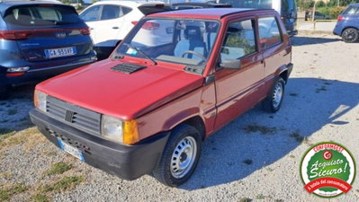 Fiat Panda 900 i.e. cat Young