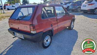 Fiat Panda 900 i.e. cat Young (2)