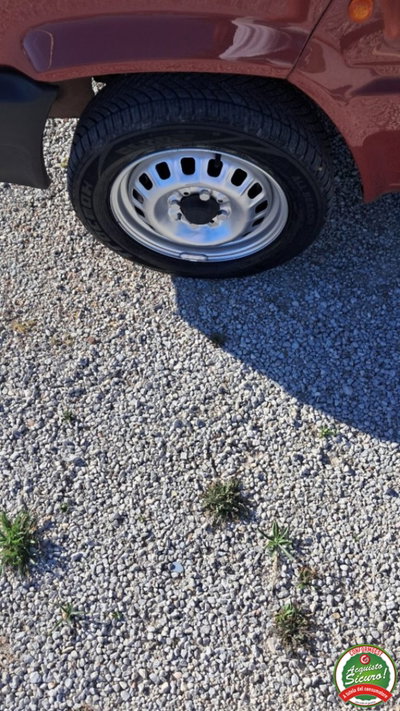 Fiat Panda 900 i.e. cat Young (7)
