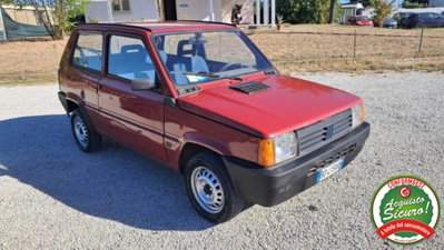 Fiat Panda 900 i.e. cat Young (8)