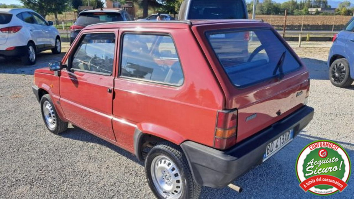 Fiat Panda 900 i.e. cat Young (9)