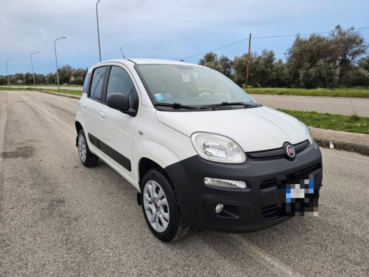 Fiat Panda 1.3 MJT S&S 4x4 Pop Climbing Van 2 posti (3)