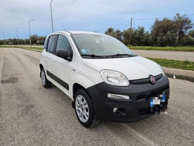 Fiat Panda 1.3 MJT S&S 4x4 Pop Climbing Van 2 posti (3)