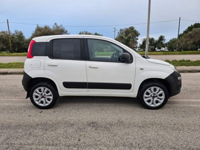Fiat Panda 1.3 MJT S&S 4x4 Pop Climbing Van 2 posti (4)