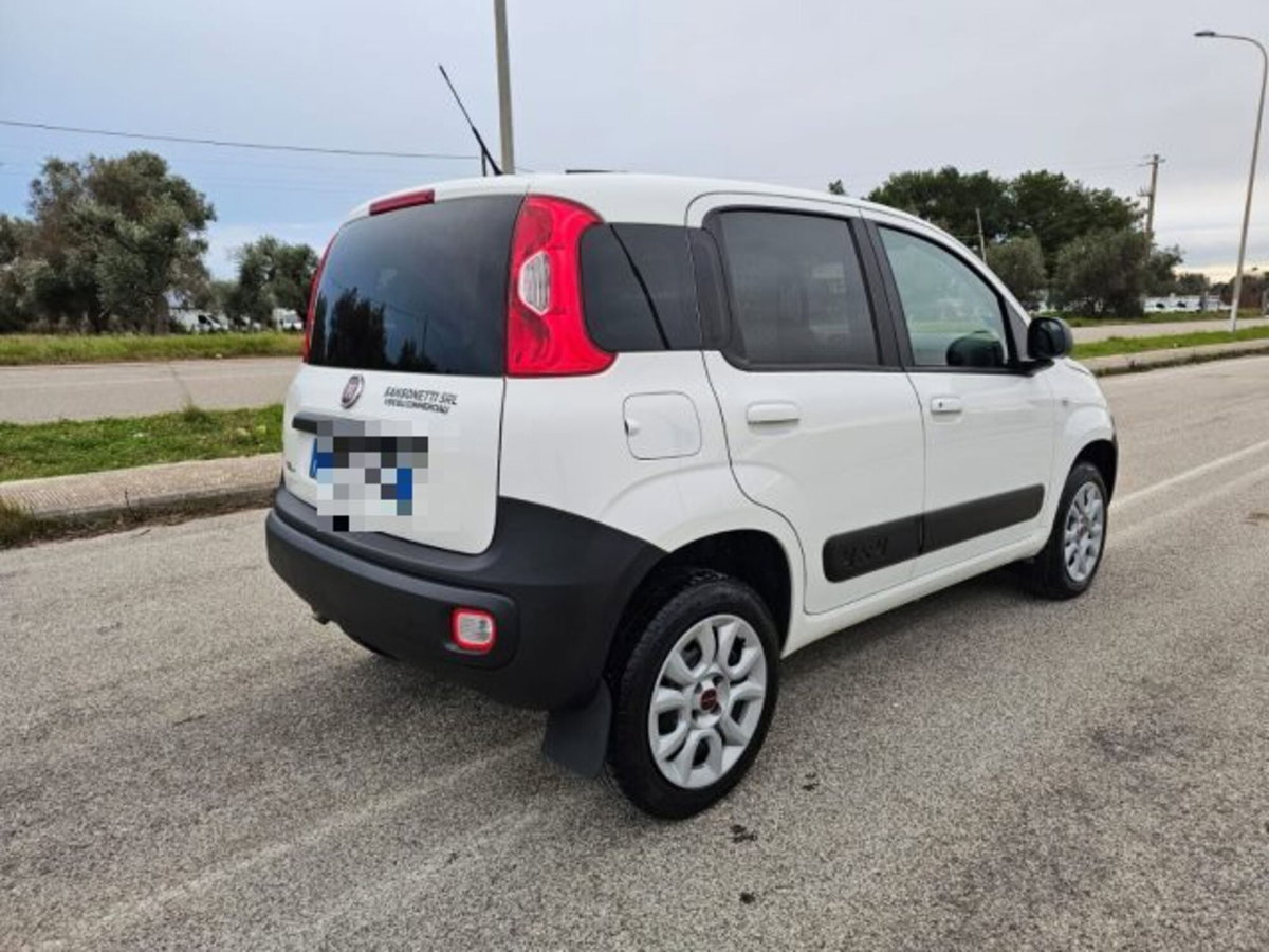 Fiat Panda 1.3 MJT S&S 4x4 Pop Climbing Van 2 posti (5)
