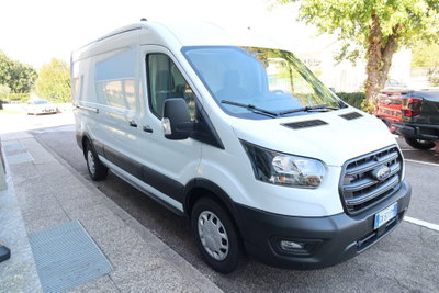 Ford Transit Furgone 350 2.0TDCi EcoBlue 130CV PL-TM Combi Trend N1 (3)