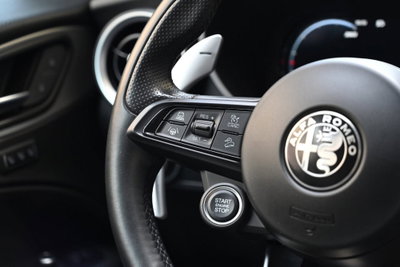 Alfa Romeo Stelvio Stelvio 2.2 Turbodiesel 210 CV AT8 Q4 Veloce (14)