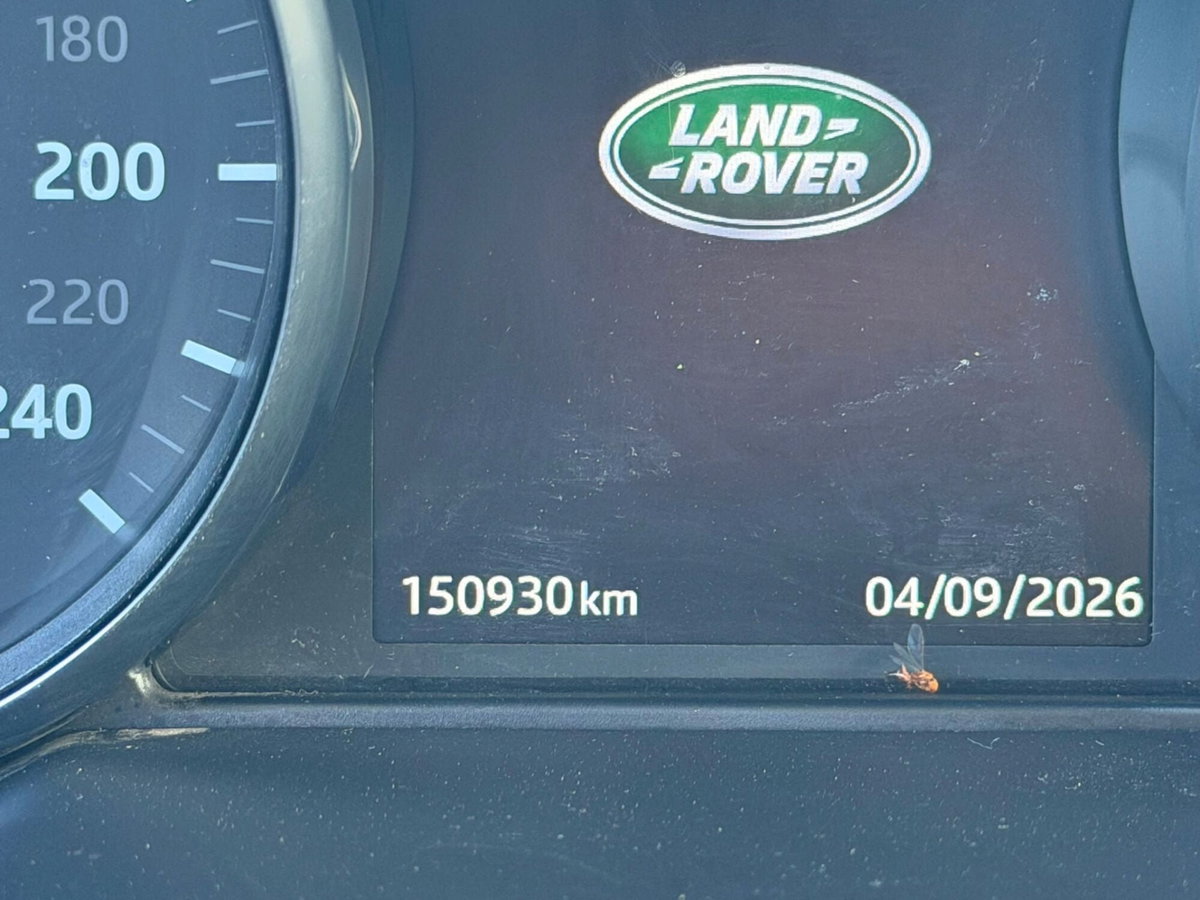 Land Rover Range Rover Evoque 2.0 TD4 150 CV 5p. HSE Dynamic (12)