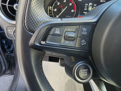 Alfa Romeo Stelvio Stelvio 2.2 Turbodiesel 190 CV AT8 Q4 Super Business (11)