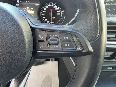 Alfa Romeo Stelvio Stelvio 2.2 Turbodiesel 190 CV AT8 Q4 Super Business (12)