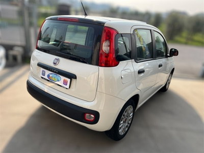Fiat Panda 1.2 Dynamic (6)