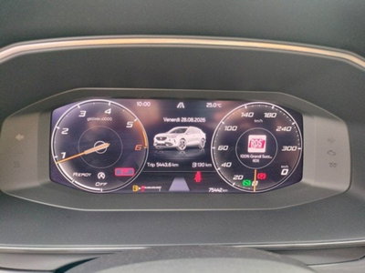 Cupra Formentor Formentor 2.0 tdi 4drive 150cv dsg (11)