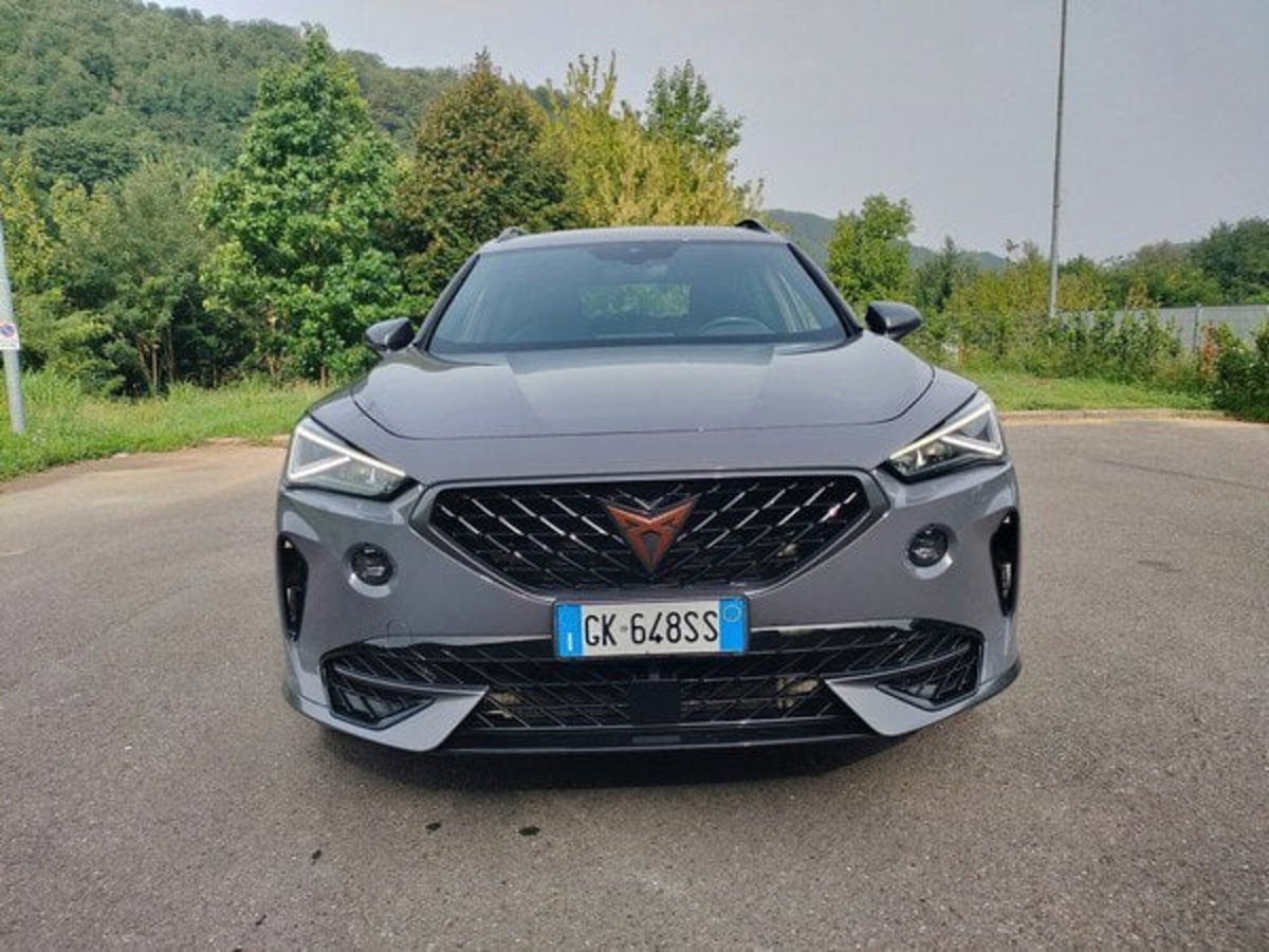 Cupra Formentor Formentor 2.0 tdi 4drive 150cv dsg (2)
