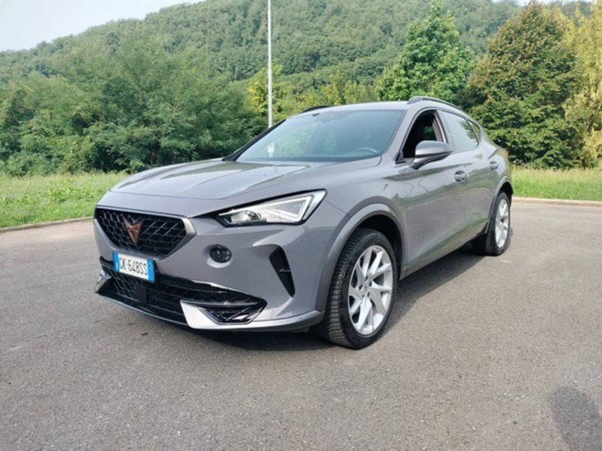Cupra Formentor Formentor 2.0 tdi 4drive 150cv dsg (3)