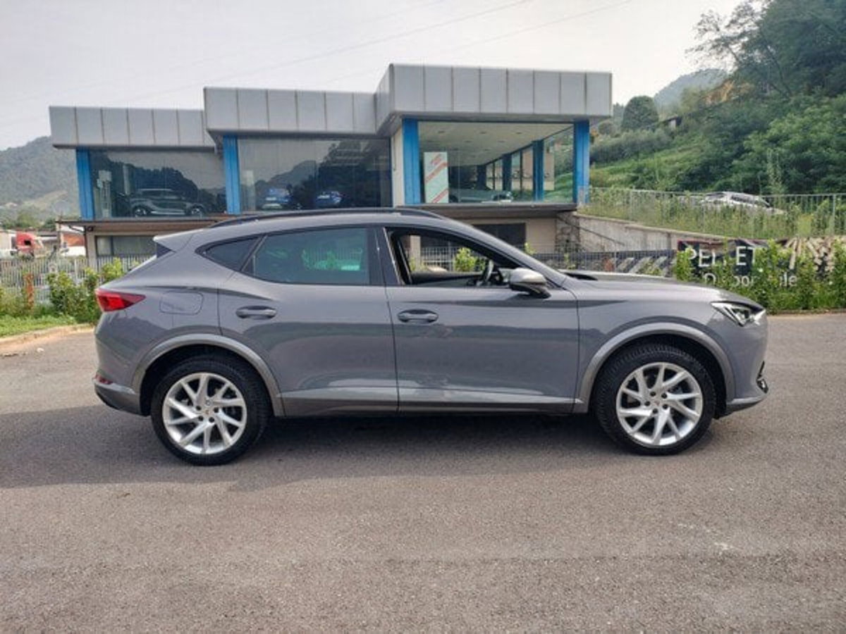 Cupra Formentor Formentor 2.0 tdi 4drive 150cv dsg (4)