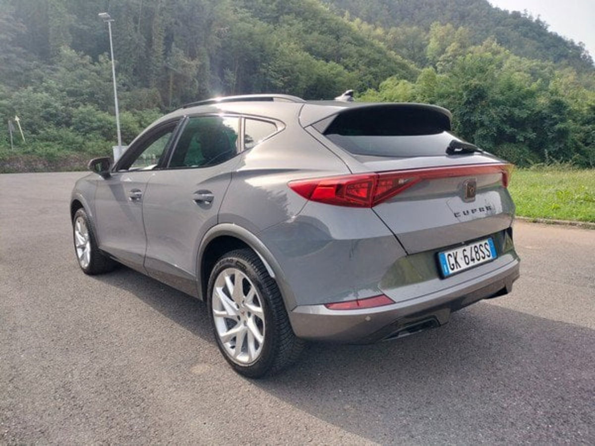 Cupra Formentor Formentor 2.0 tdi 4drive 150cv dsg (8)