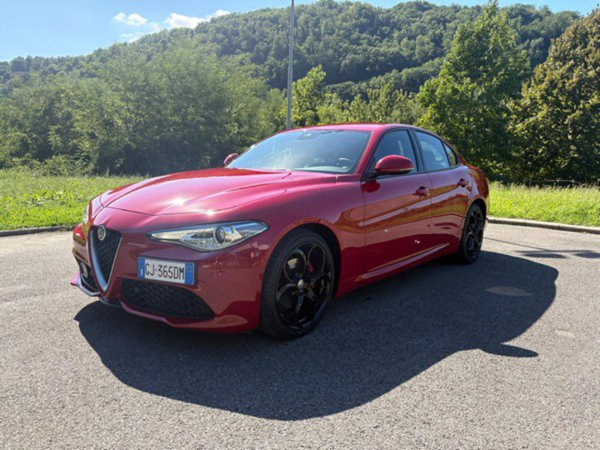 Alfa Romeo Stelvio Stelvio 2.0 Turbo 200 CV AT8 Q4 Super Business (2)