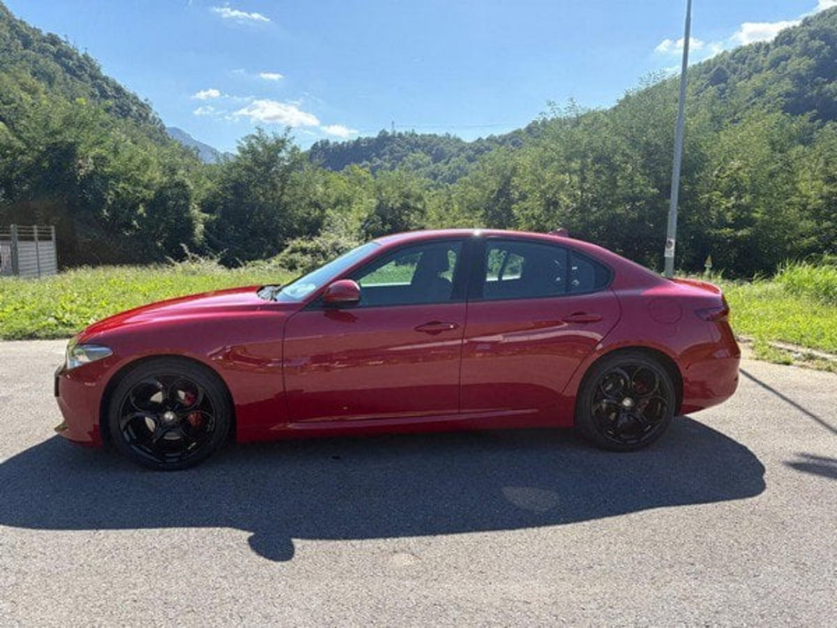 Alfa Romeo Stelvio Stelvio 2.0 Turbo 200 CV AT8 Q4 Super Business (4)