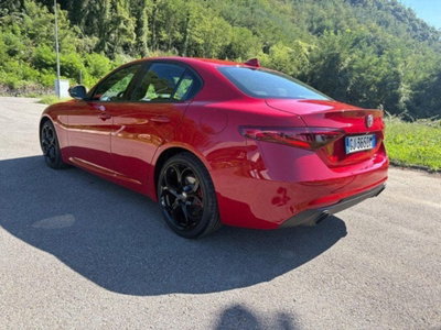 Alfa Romeo Stelvio Stelvio 2.0 Turbo 200 CV AT8 Q4 Super Business (6)