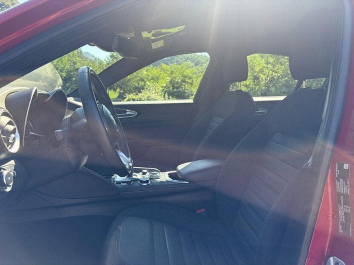 Alfa Romeo Stelvio Stelvio 2.0 Turbo 200 CV AT8 Q4 Super Business (7)