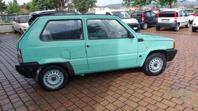 Fiat Panda 1100 i.e. cat Young (12)