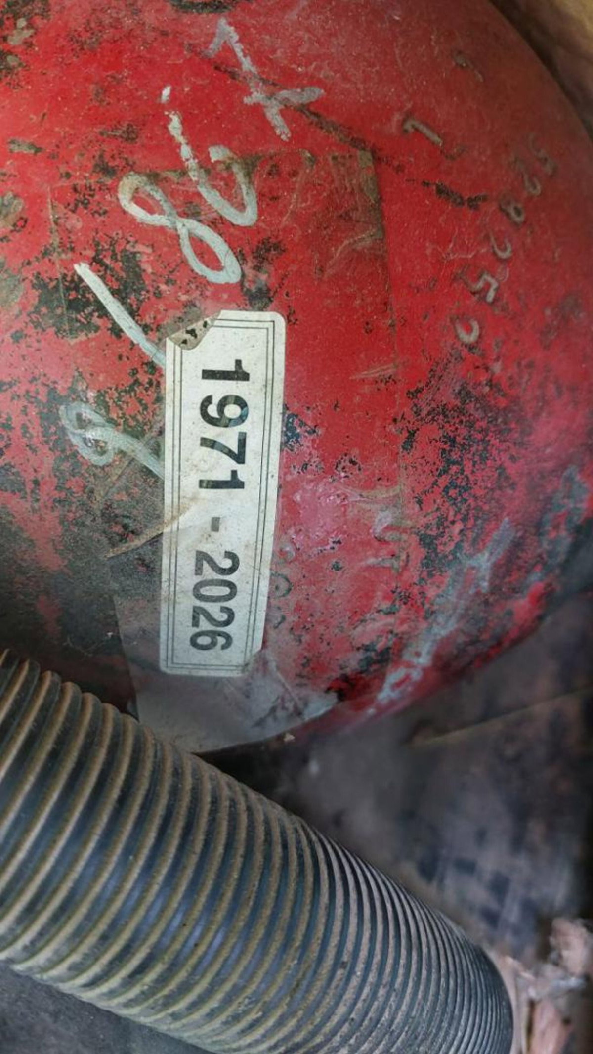 Fiat Panda 1100 i.e. cat Young (15)