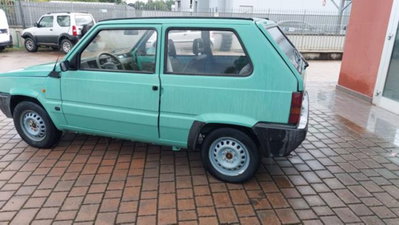 Fiat Panda 1100 i.e. cat Young (16)