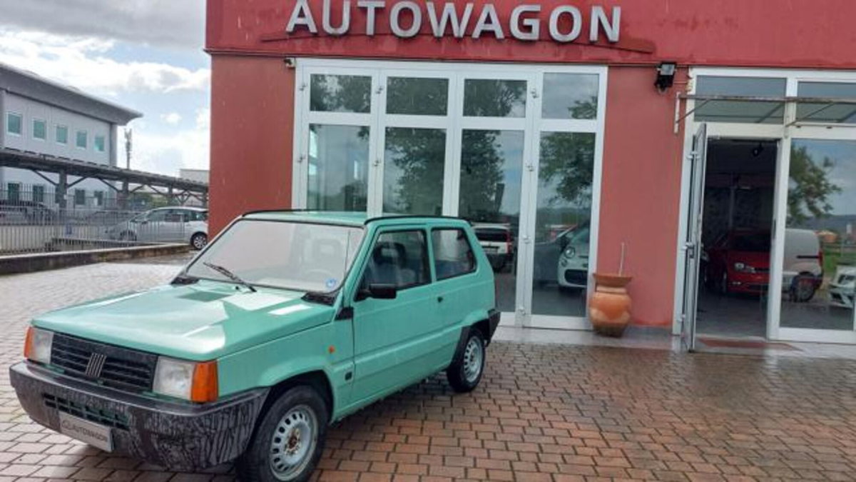 Fiat Panda 1100 i.e. cat Young (2)