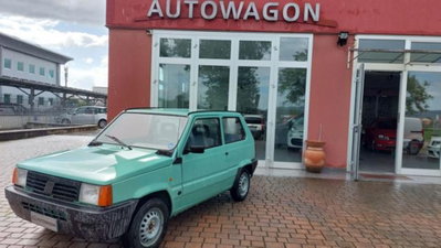 Fiat Panda 1100 i.e. cat Young (2)