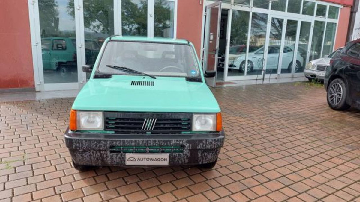Fiat Panda 1100 i.e. cat Young (4)