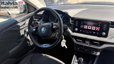 Skoda Kamiq 1.0 TSI 110 CV DSG Ambition (8)