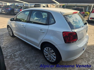 Volkswagen Polo 1.2 5 porte Trendline (3)