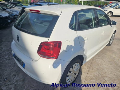 Volkswagen Polo 1.2 5 porte Trendline (5)