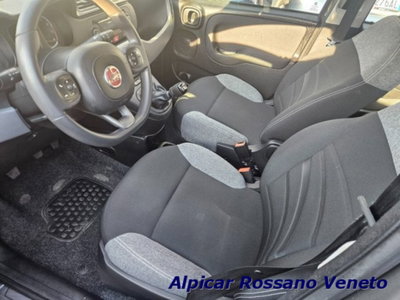 Fiat Panda 1.0 firefly hybrid s&s 70cv (11)