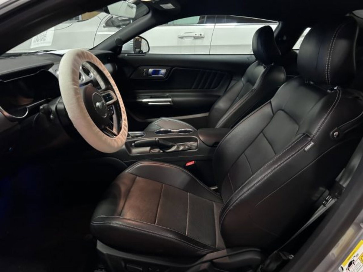 Ford Mustang Coupé Fastback 5.0 V8 GT (17)