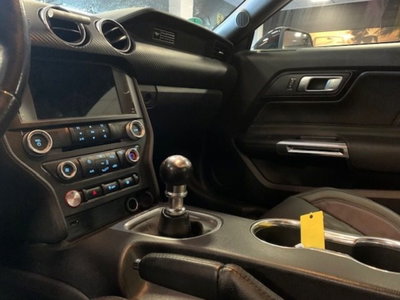 Ford Mustang Coupé Fastback 2.3 EcoBoost (16)