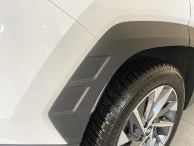 Hyundai Tucson 1.6 CRDi Exellence (20)