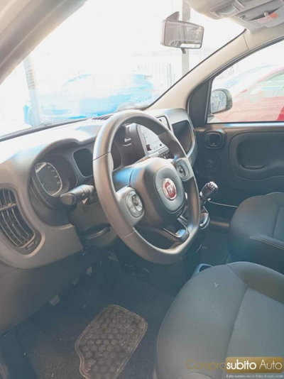 Fiat Panda 1.0 firefly hybrid s&s 70cv 5p.ti (17)