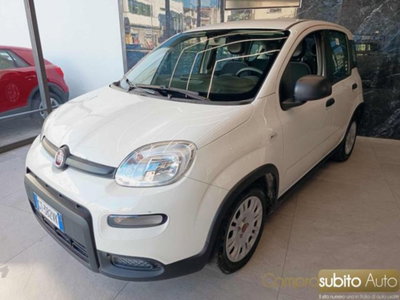 Fiat Panda 1.0 firefly hybrid s&s 70cv 5p.ti (2)