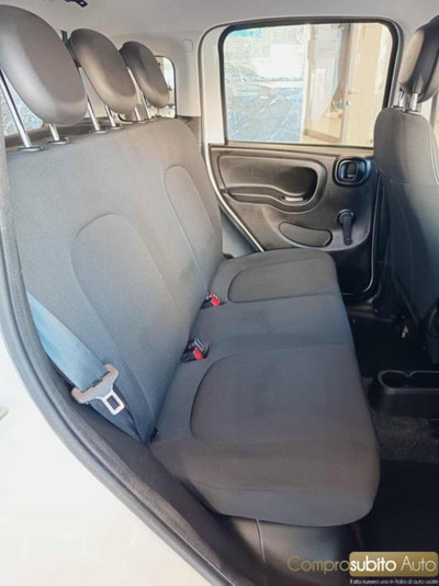 Fiat Panda 1.0 firefly hybrid s&s 70cv 5p.ti (20)