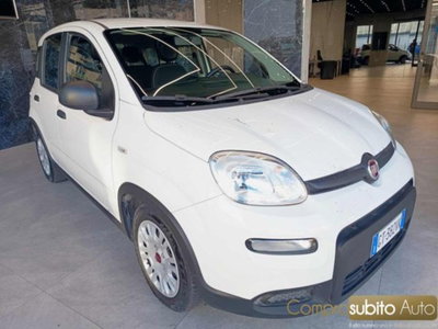 Fiat Panda 1.0 firefly hybrid s&s 70cv 5p.ti (3)