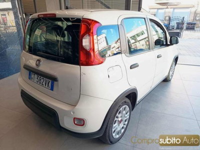 Fiat Panda 1.0 firefly hybrid s&s 70cv 5p.ti (4)