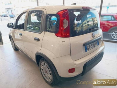 Fiat Panda 1.0 firefly hybrid s&s 70cv 5p.ti (5)