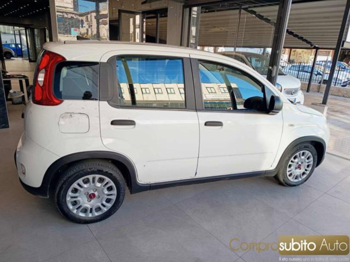 Fiat Panda 1.0 firefly hybrid s&s 70cv 5p.ti (6)