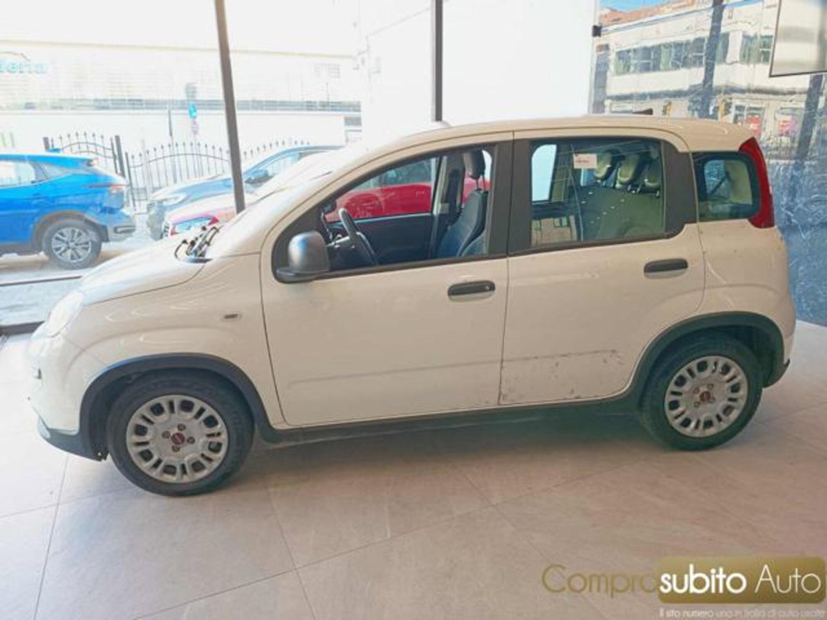Fiat Panda 1.0 firefly hybrid s&s 70cv 5p.ti (7)