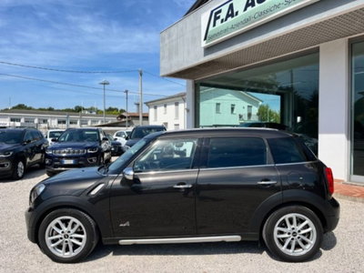 MINI Mini Countryman 2.0 Cooper D Business XL Countryman ALL4 Automatica (10)