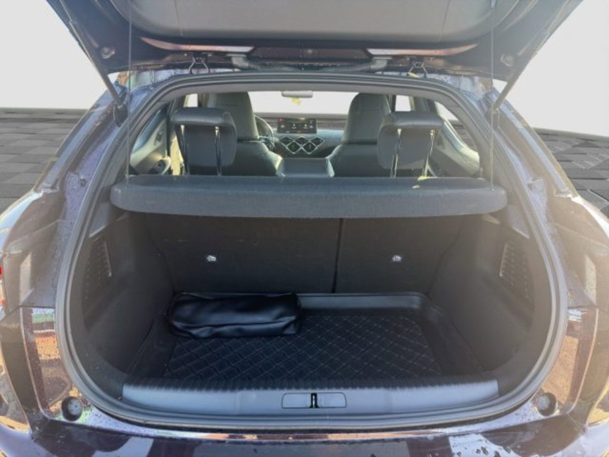 Ds DS 3 DS 3 Crossback BlueHDi 100 Business (13)