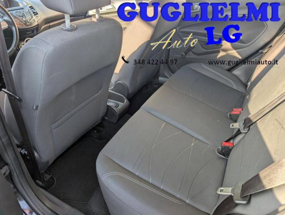 Ford Fiesta 1.4 5 porte Bz.- GPL Business N1 (20)