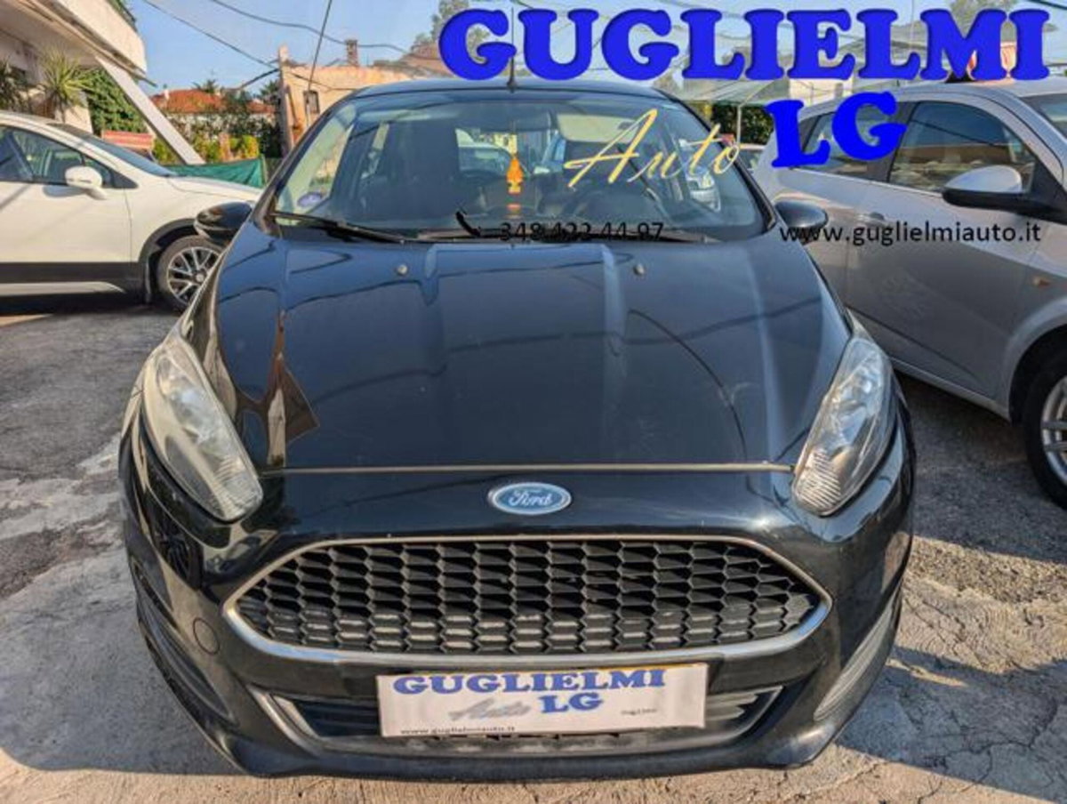 Ford Fiesta 1.4 5 porte Bz.- GPL Business N1 (3)