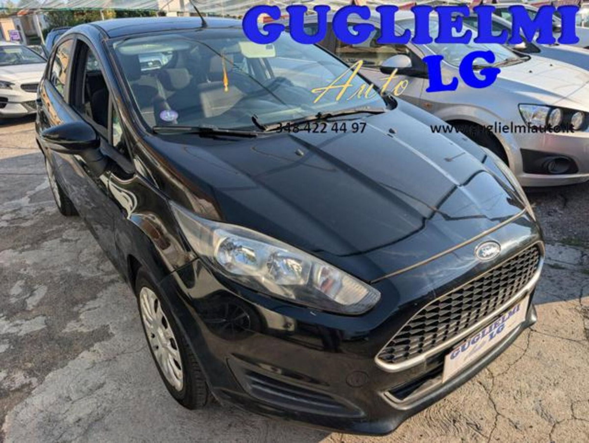 Ford Fiesta 1.4 5 porte Bz.- GPL Business N1 (4)